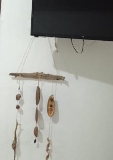 Kourou Apartment | Tropical cocoon