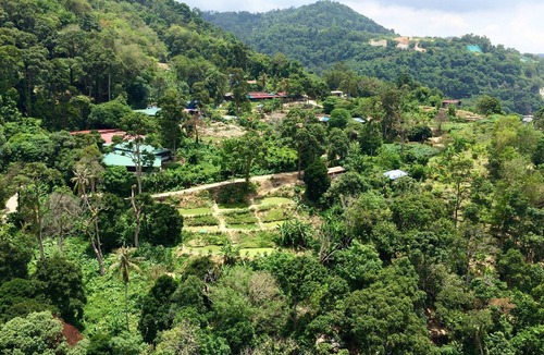 Kampung Baruh House | TROPICAL ESCAPE HOME