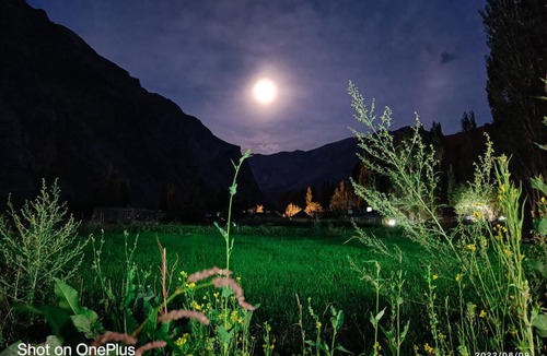 Turtuk Resort | Tyakshi Summer Camp