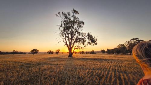 Boweya House | Victorian Farm stay Springbank