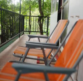Khattalwada Bed & Breakfast | Vythiri Olive Garden