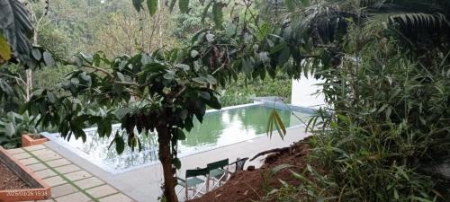 Khattalwada Bed & Breakfast | Vythiri Olive Garden