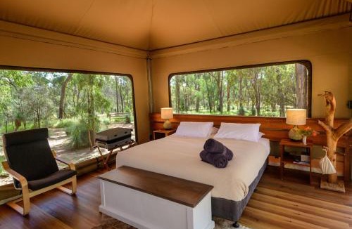 Upper Dawson Other | Wallaroo Outback Retreat - Glamping Tents Carnarvon Gorge