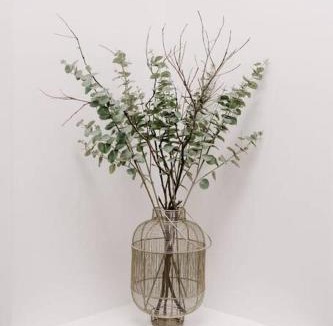 Culburra Beach House | Water's Edge