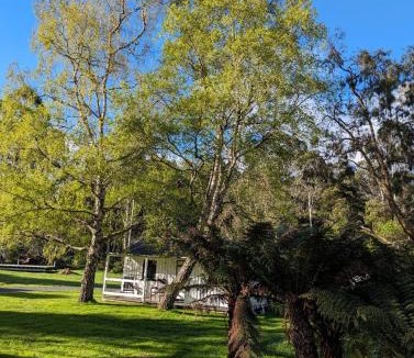 Weldborough Hotel | Weldborough Hotel