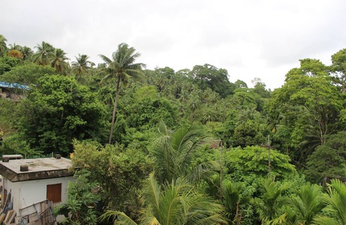 Port Blair Hotel | White Coral