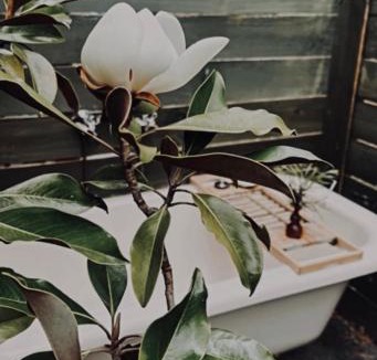 Ross House | White Croft Cottage