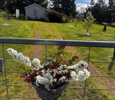 Ross House | White Croft Cottage
