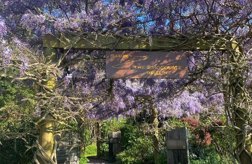 Ocean Beach Ski Chalet | Wine Tree Estate Chalets