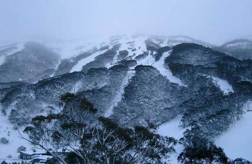 Thredbo Cabin | Winterhaus Lodge