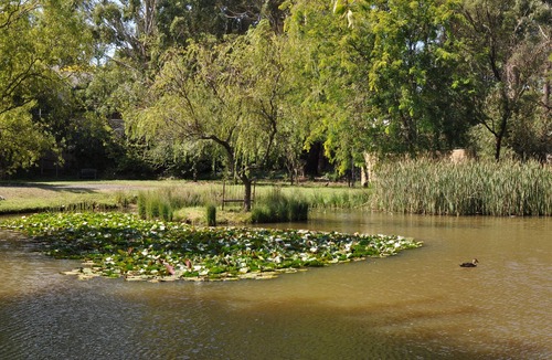Woodend Apartment | Woodlands Getaway in the heart of the Macedon Ranges