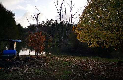 Balingup Ski Chalet | Woodlands of Balingup Bush Cottages -Flora & Fauna focused