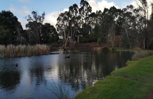 Balingup Ski Chalet | Woodlands of Balingup Bush Cottages -Flora & Fauna focused