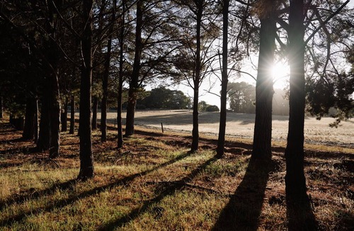 Naturaliste Cabin | Yallingup Lodge Spa Retreat
