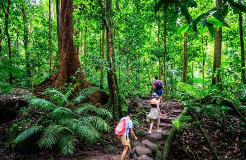 Cairns Central Business District Hostel | YHA Cairns Central