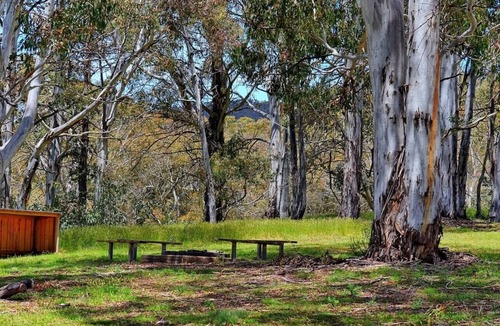 Adaminaby Cabin | Your gateway to an unforgettable holiday experience in the stunning Snowy Mountains!