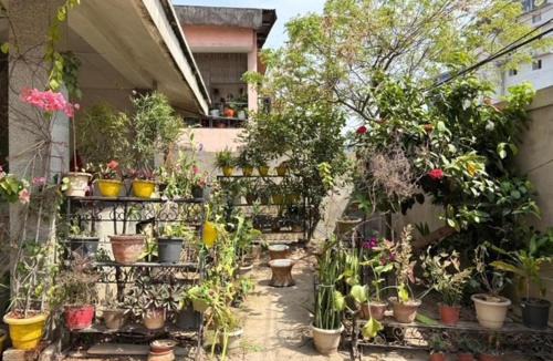 Sualkuchi Hostel | Zion Backpackers Hostel