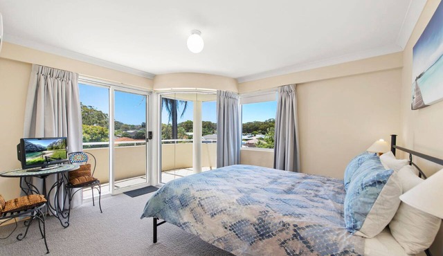 11 Seashells - Where the Mountain and Beach Meet in Nelson Bay