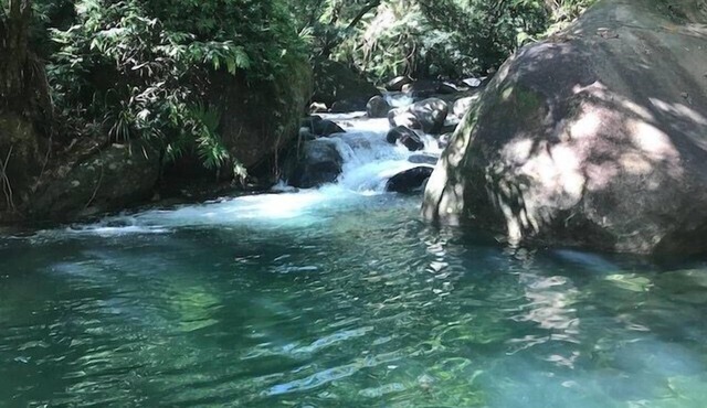 3 Bedroom House Daintree