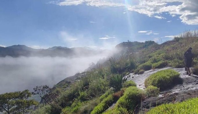 4 Acre Woods Farm Stay in Munnar