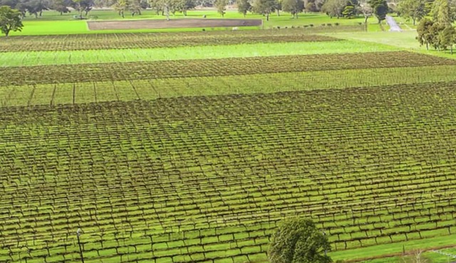 A Penola-Coonawarra Villa