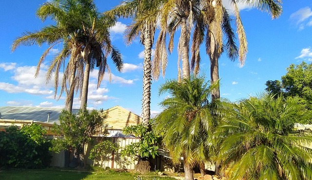 A renovated self-contained guest suite close to the beach