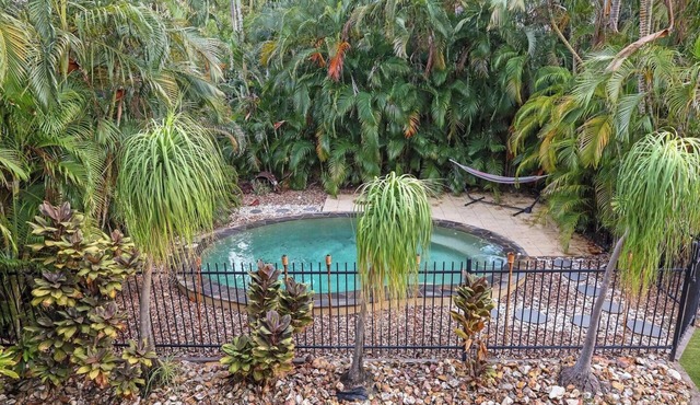 A Tropical Pool Paradise in Rapid Creek