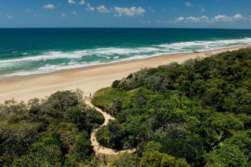 Absolute Beach Front Home -Dogs, Surf, Relax, Bush