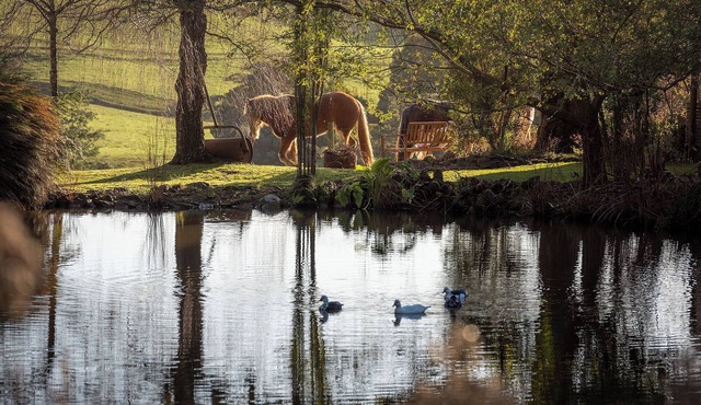 Arion Park Clydesdale Farmstay in Yolla