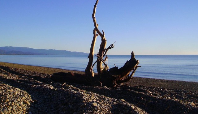 AROHA COTTAGE in Mapua (Ruby Bay)