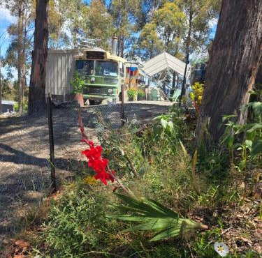 Banksia Bus