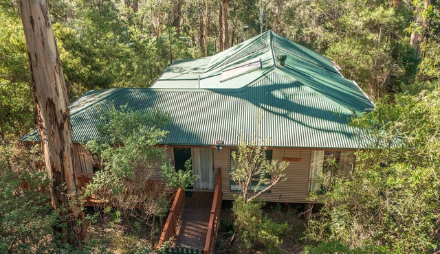 Beach, forest, wineries, town . Family, pet friendly, or romantic interlude.