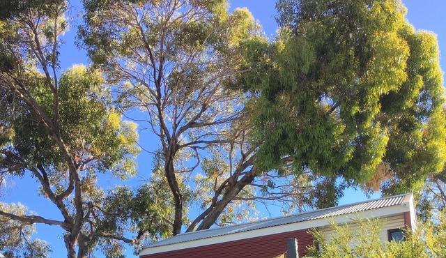 BEACH SHACK PRESTON BEACH RESORT - HEATED POOL - FOXTEL - 500M TO BEACH