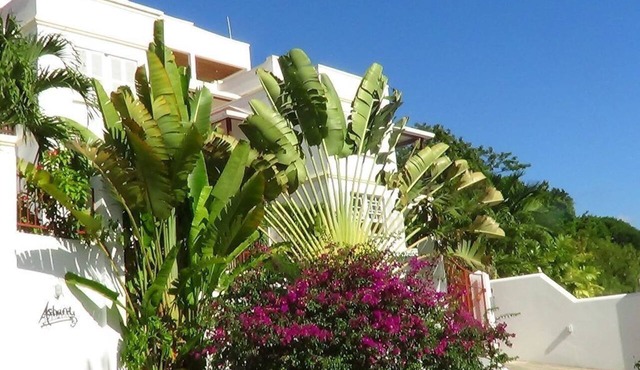 Beach Walk | Recently renovated (Oct 26) 3 Bed Condo close Gibbs & Mullins Beach in Gibbes