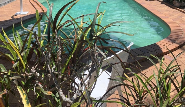 Beachfront at Silver Sands - opposite Shelly Beach in Hervey Bay - Heated Pool