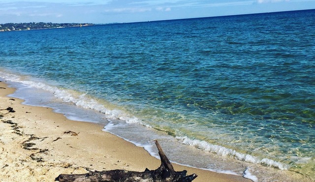 Beachside hidden gem.