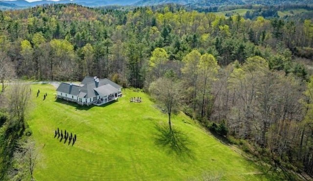Bear Creek: Views|Spa|Trails|Fishing|Acres+ in Marshall