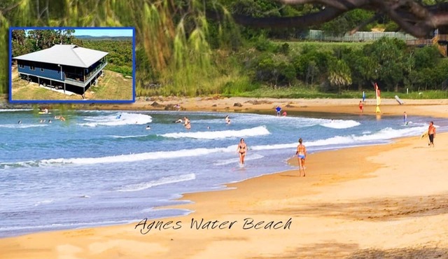 Beautifully located apartment, seconds to the bush, minutes from the beach