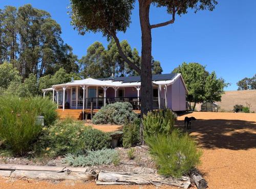 Belmira Vines Private Vineyard Escape!