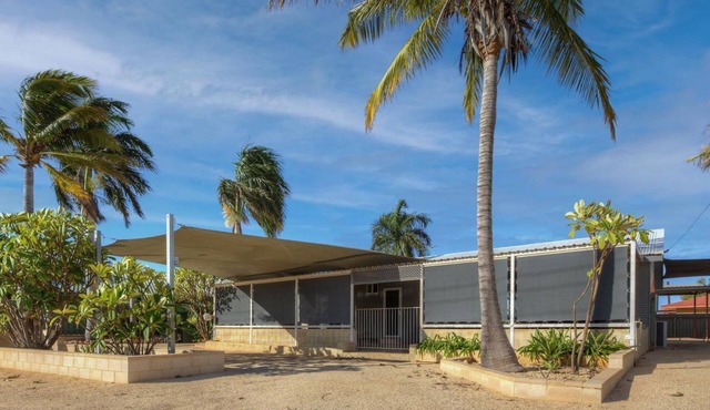 Billfish - Close to town and across from bushland