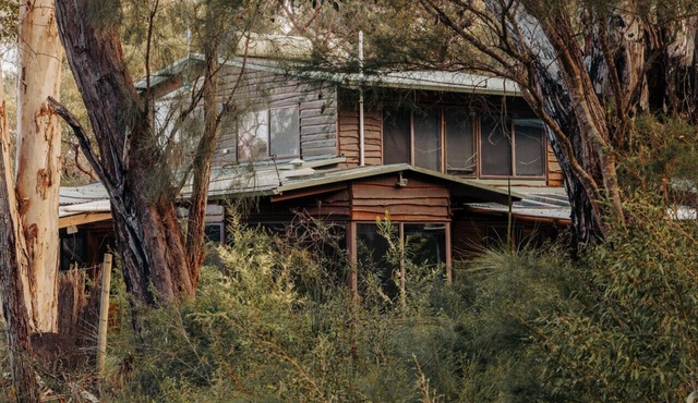 Bimbi Forest Eco Lodge - Denmark