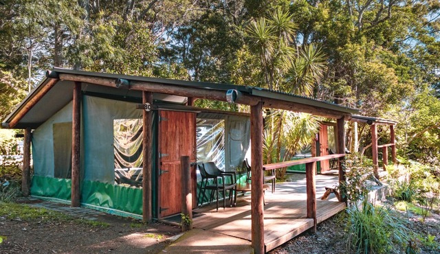 Binna Burra Rainforest Campsite