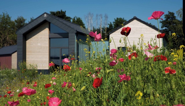 Bio-Seehotel Chalets at the Zeulenrodaer Meer in the Thuringian Vogtland in Zeulenroda-Triebes
