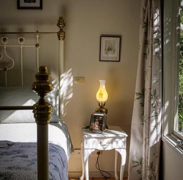 Birdsland Suite