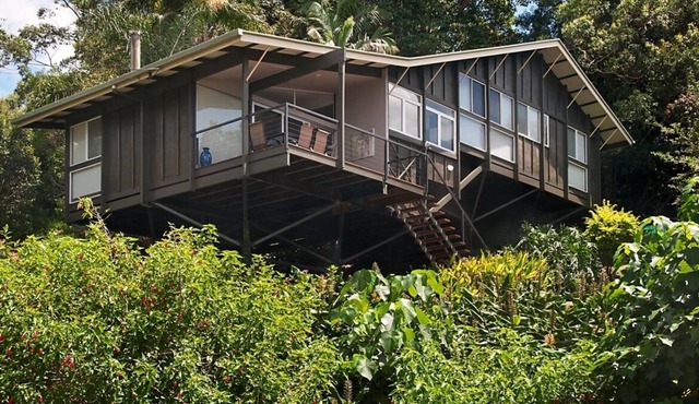 Bliss On Boongala - A Modern, Spacious, Split Level Home With an Outlook to the Coast