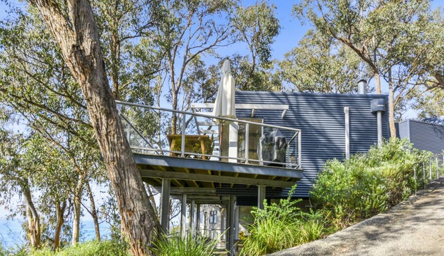 Bluegums at Lorne in Lorne