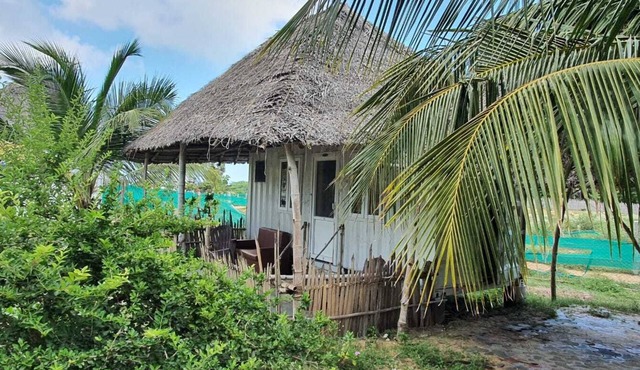 Cabana Coral Reef