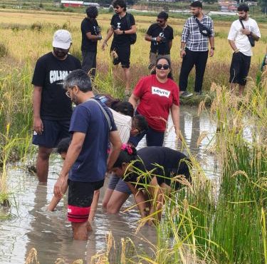 Camp Wildnest Adventures Ziro