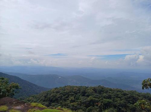 Casa De Campo in Idukki