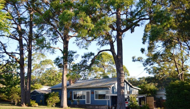 Casa Husky